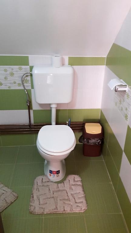 Pensiune Restaurant La Pogace Săpînţa Dış mekan fotoğraf